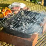 instant light charcoal for campsites
