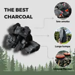 Birch Lumpwood Charcoal 10kg - Half Pallet 21 Bags