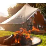Hotmax Heat Log 20kg - 50 Bag Deal